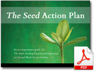 Action Plan - The Seed